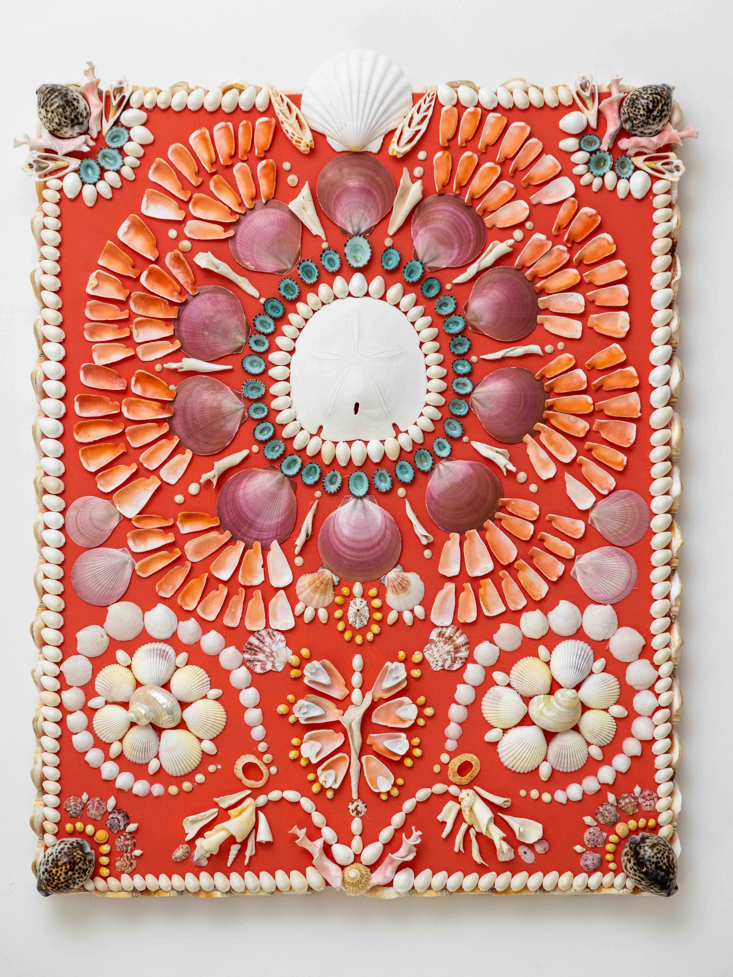 shellulu♡ページ Seashell II - Lulu Dk — Nusa Indah Surfboards